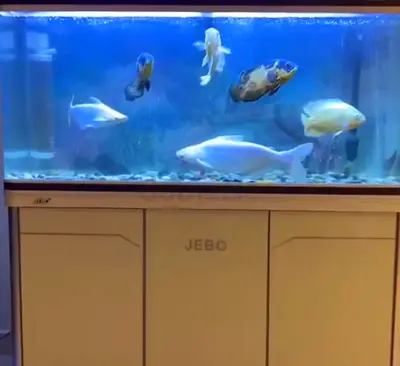 URGENT AQUARIUM  SALE, FULL SET AS SHOWN IN THE FIRST PICTURE