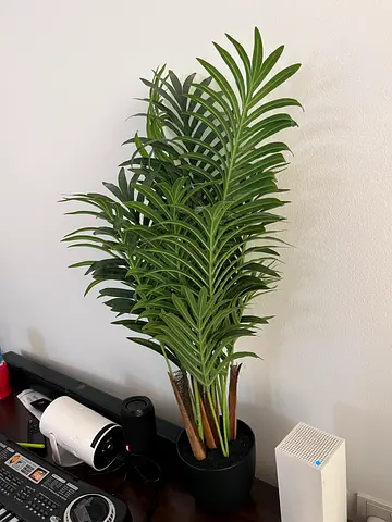 Artificial Potted Palm Plant - Medium, Ready to Decorate