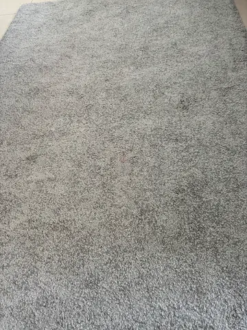 Light grey plush area rug - good condition