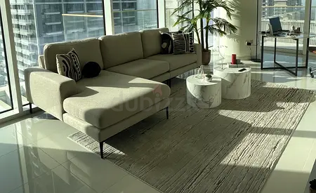Elegant Rug 290x200cm