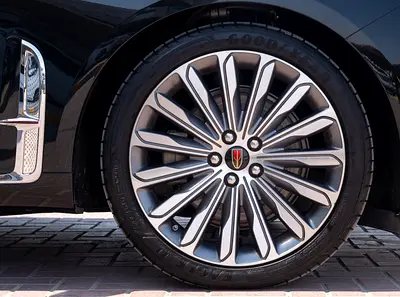 Hongqi H9 Executive VIP, миниатюра 9