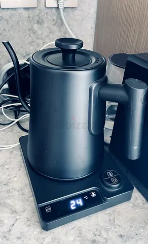 Electric Kettle with Temperature Adjustment