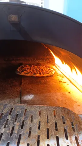 Used Wood-Fired Pizza Oven (Countertop/Outdoor) - Good Working Condition
