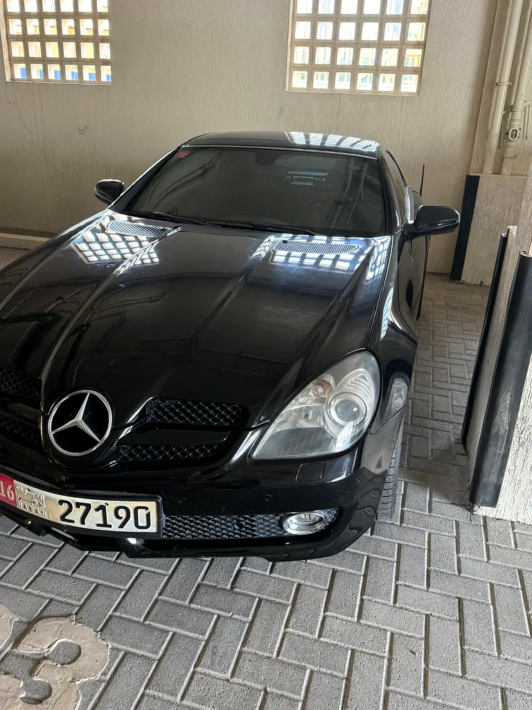 Mercedes-Benz SLK-Class 2010 — photo 1 of 6