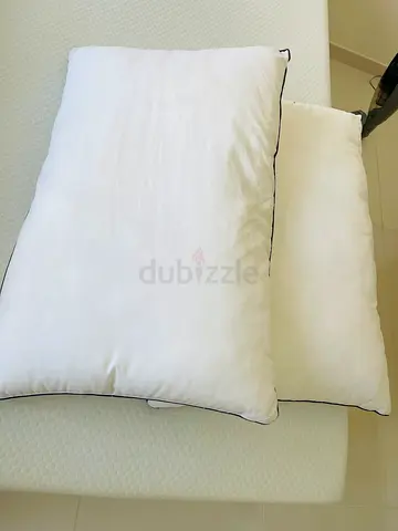 Super Soft Pair of Pillows 50x80cm