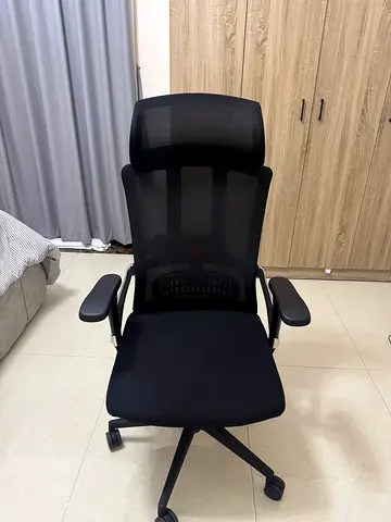 Ergonomic Black Mesh Office Chair with Headrest
