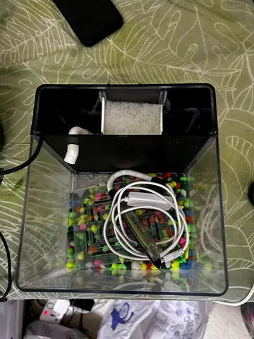 Small desktop fish tank with filter and gravel