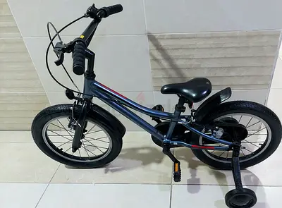 With trainer wheels Giant animoter 16inches ( 4:7