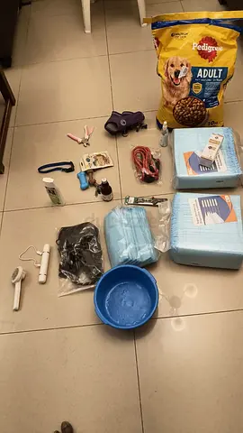 Dog care product full set