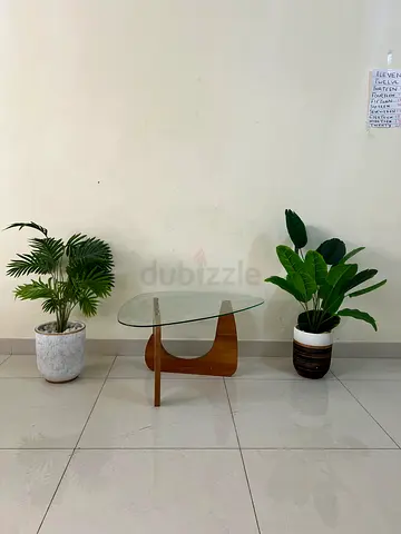 Mid-century Style Glass Top Coffee Table with Wooden Base and 3 artificial plant pot
