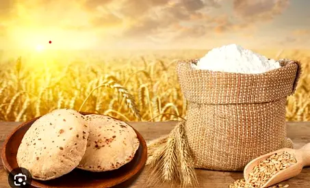 Flour (Atta) I free supply for hotel and Restaurant