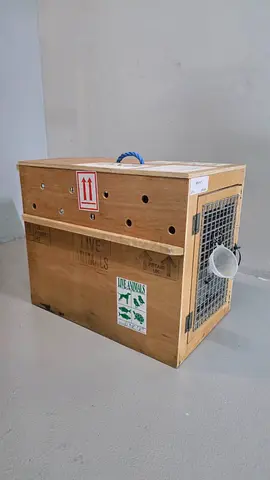 Wooden pet transport crate / travel carrier (used)