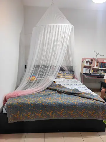 Queen Size Bed Frame with Mattress and Canopy