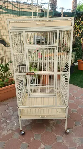 Large Bird Cage