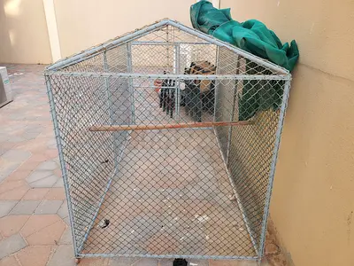 Large Bird Cage with free green cloth