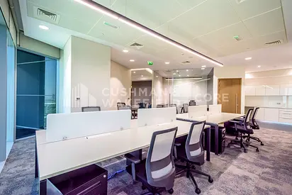 Premium | Fully Furnished | Freezone