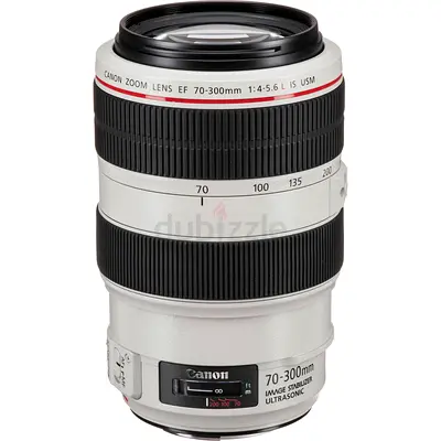 Canon EF 70-300mm F/4 - 5.6L IS USM Lens