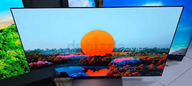 LG OLED EVO 55 INCH C4 SMART 4K TV MODEL 2024 SAME LIKE NEW