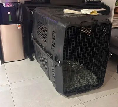 Giant Travel Dog Crate- Moderna Brand- Gently used