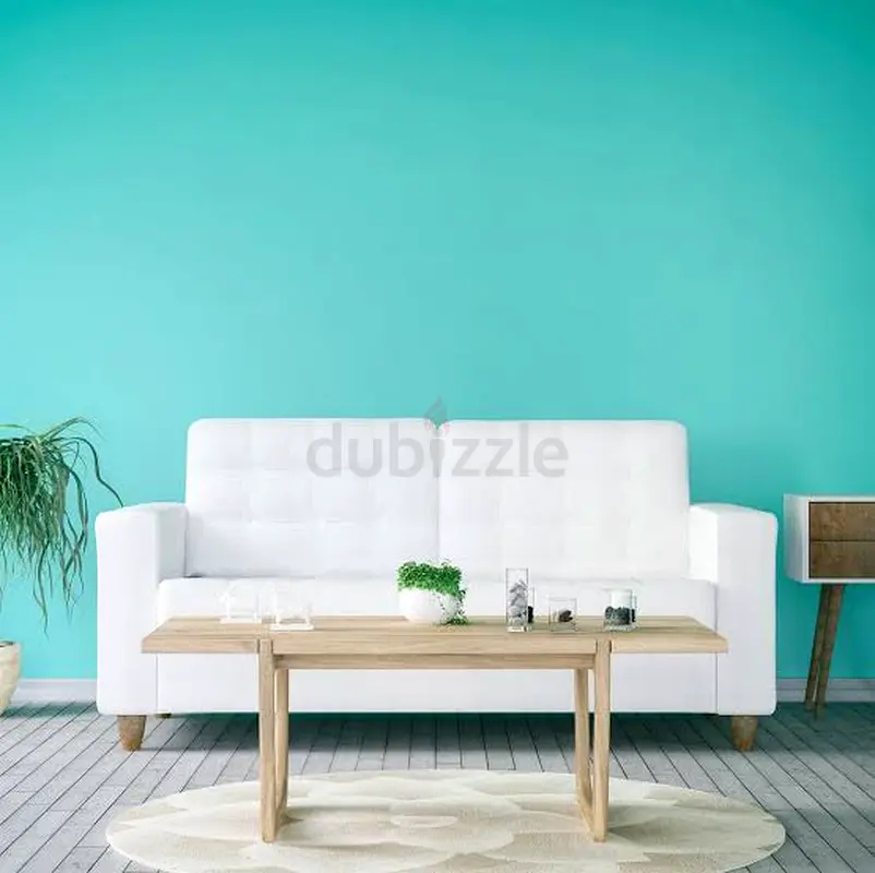 DPV_View_Image_1