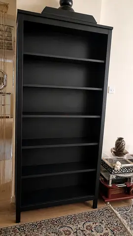 Books shelve