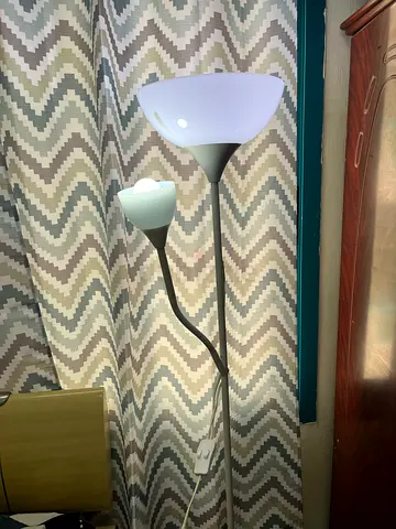 Modern Floor Lamp with Adjustable Reading Light