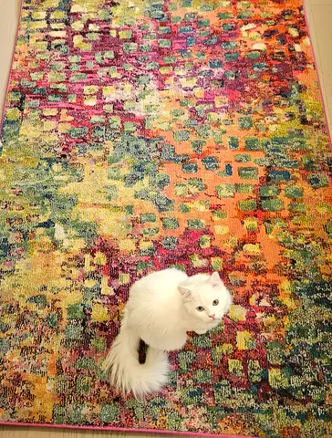 Brightly patterned rug will really add color to your space! 💗