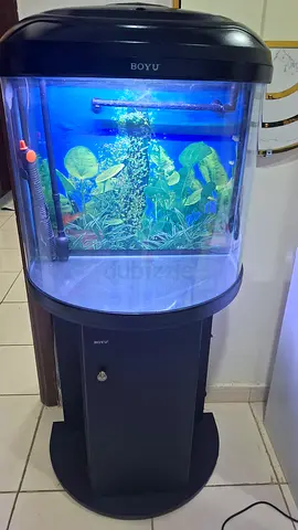 Boyu Curved Aquarium with Stand and LED Lighting - Good Condition