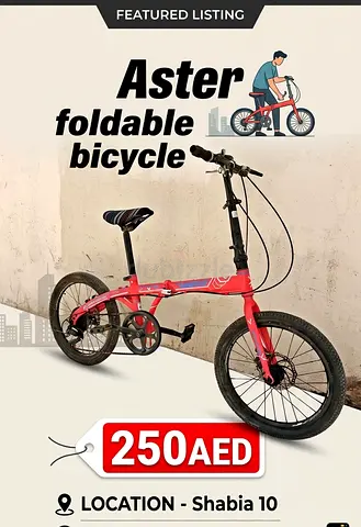 Aster foldable bicycle