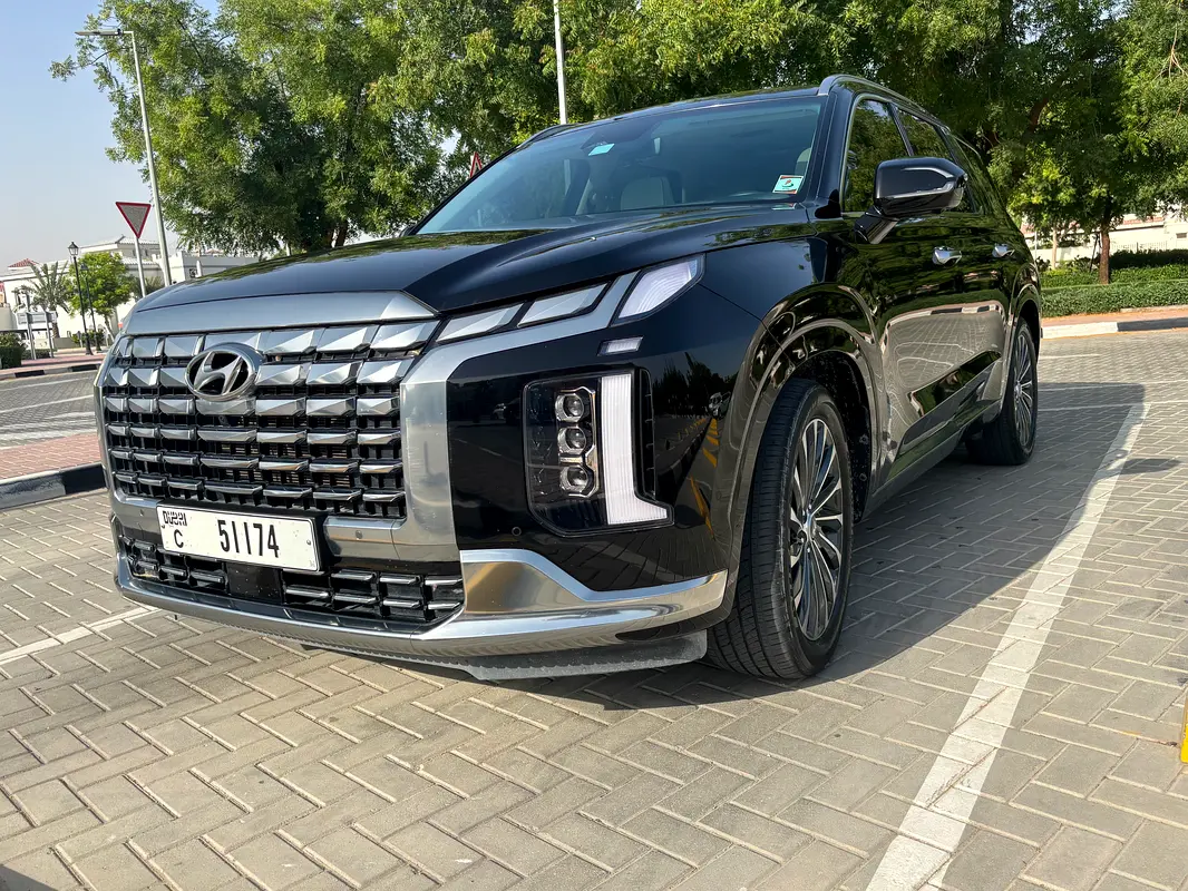 Hyundai Palisade 2024 — photo 1 of 12
