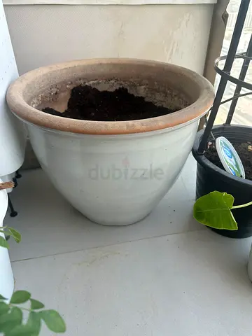 Pot