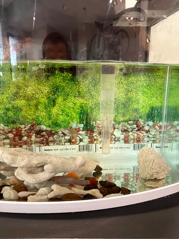 Complete Fish Tank Setup  Premium Supplies