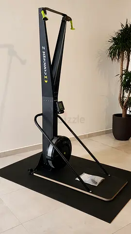 Concept2 SkiErg PM5