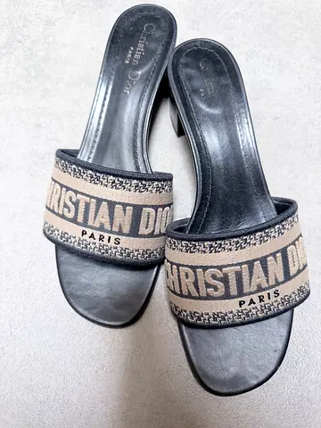 Dior slides