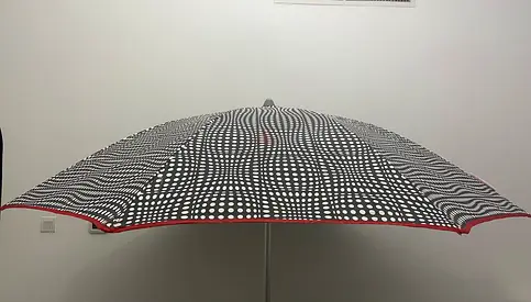 Umbrella for Sun or Rain
