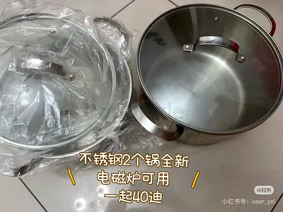 AED40.Stainless steel electric pressure cooker for sale