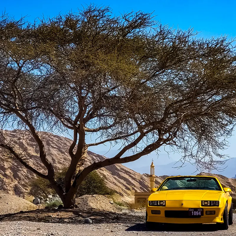 Chevrolet Camaro 1988 — photo 1 of 12