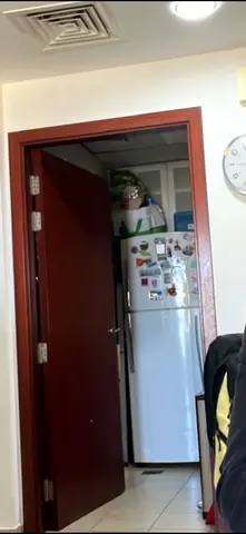 Kitchen door