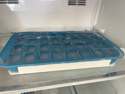 Flexible Ice Cubes Form