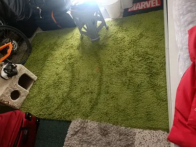 Carpet green