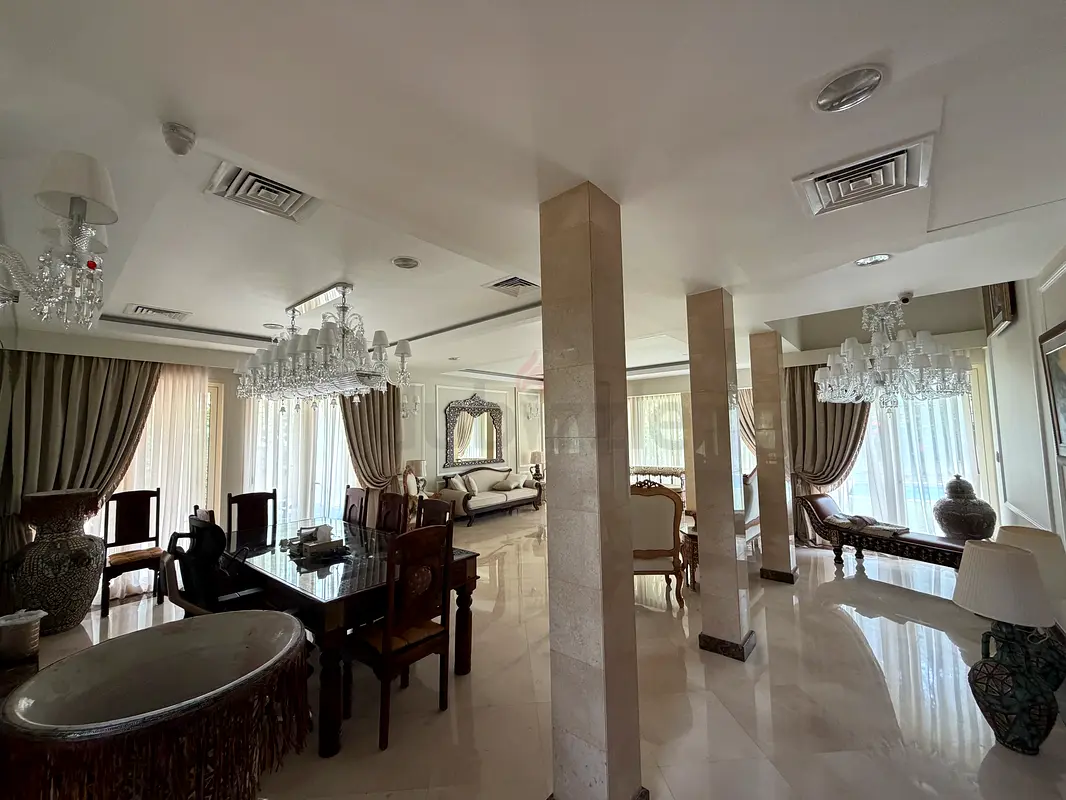 DPV_View_Image_1