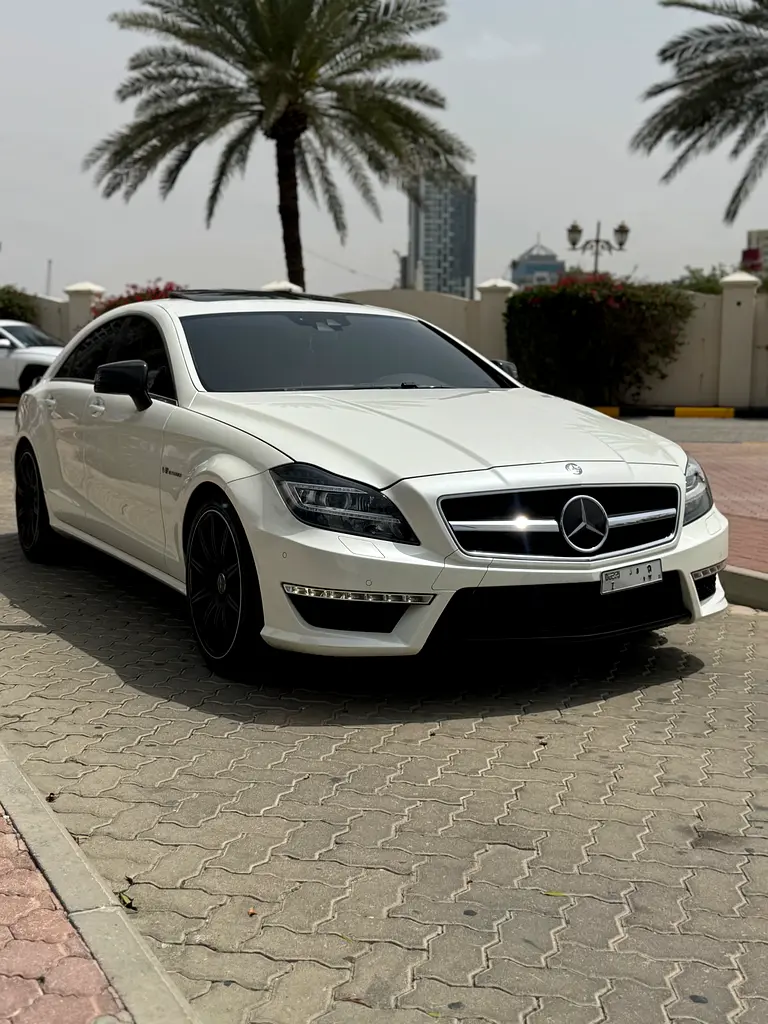 Mercedes-Benz CLS-Class 2014 — photo 1 of 12