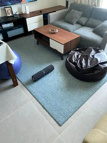 Rug Langsted from IKEA half price