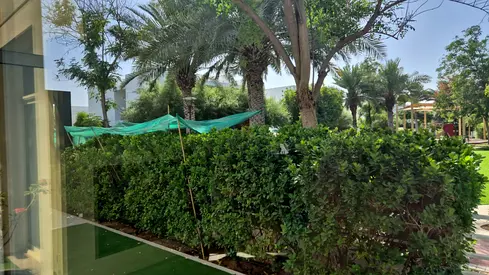 Garden Sun Shade Netting and Mature Hedge Plants