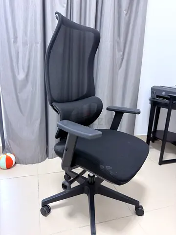 Ergonomic Mesh Office Chair with Adjustable Armrests
