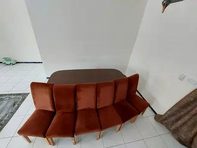 Premium Chairs