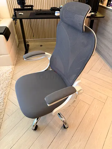 Ergonomic Office Chair with Headrest - Grey