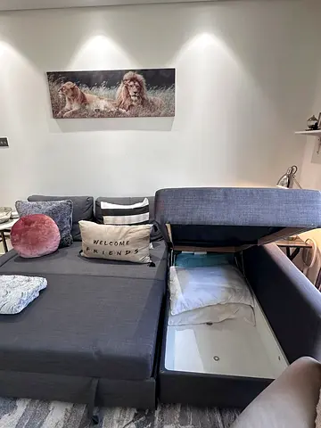 Sectional Sofa Bed with Storage and Pull-out Bed