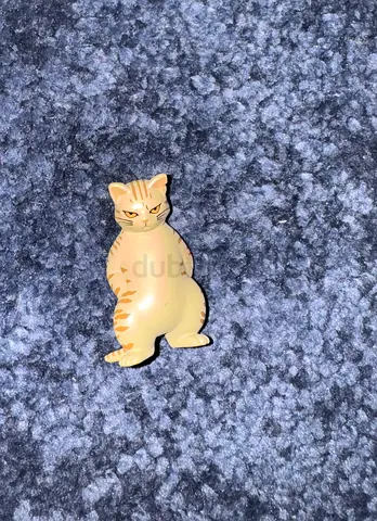 Standing angry cat