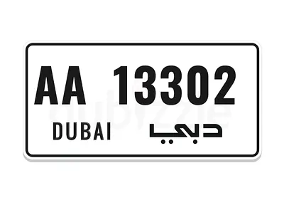AA 13302